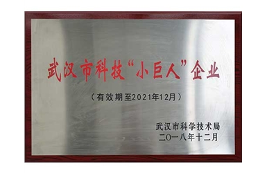 2018.12-武漢市科技小巨人企業(yè)