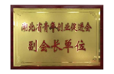 2014.07-湖北省青年創(chuàng)業(yè)促進(jìn)會(huì)副會(huì)長(zhǎng)單位