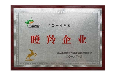 2019.-10-2019年度瞪羚企業(yè)